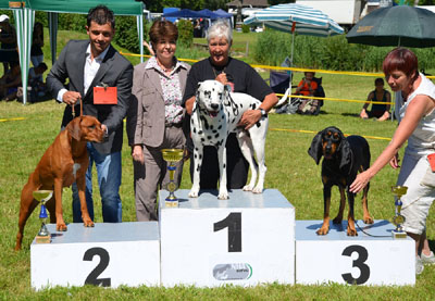 Vanoc Aarau Juni 2011 Sieger Gruppe 6 400